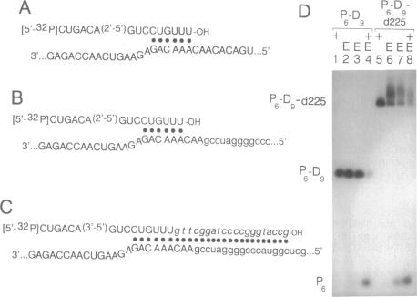 graphic file with name pnas01032-0252-a.jpg