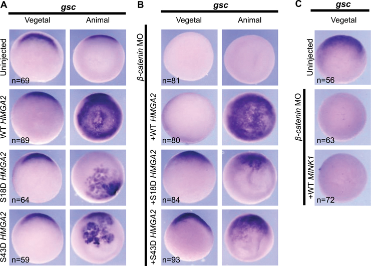 Figure 6: