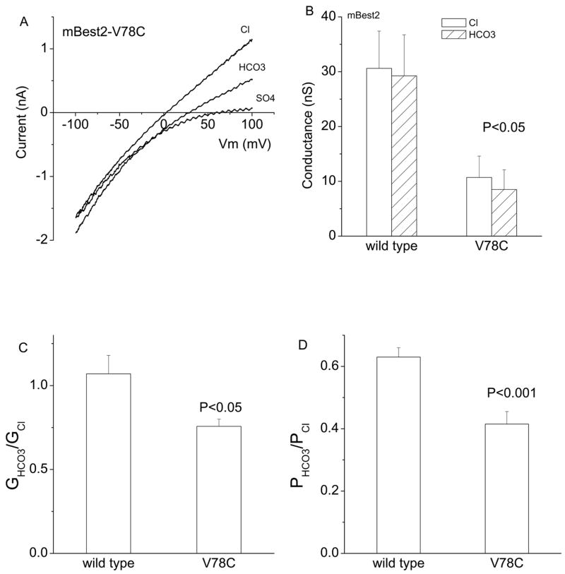 Fig.7