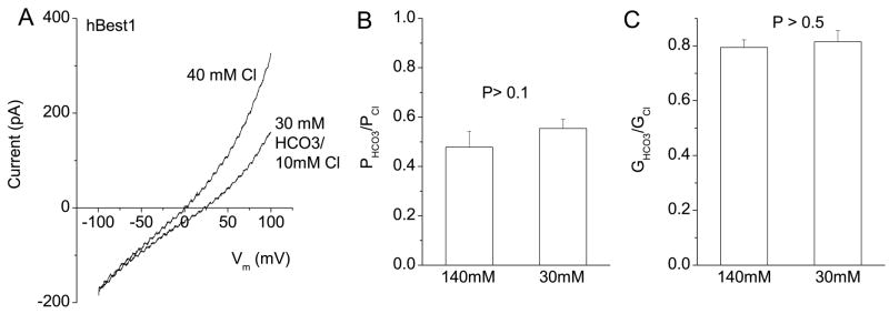 Fig.5