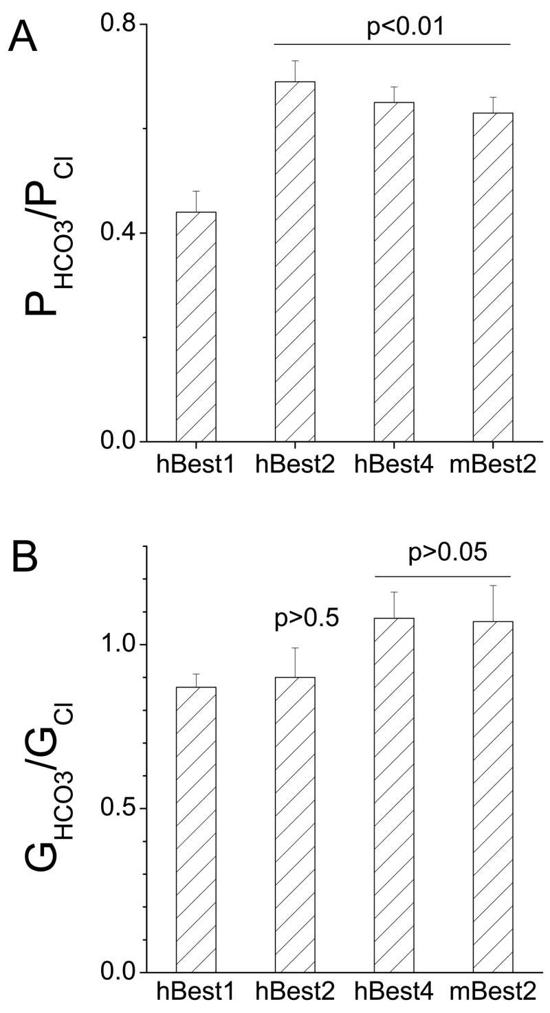 Fig.2