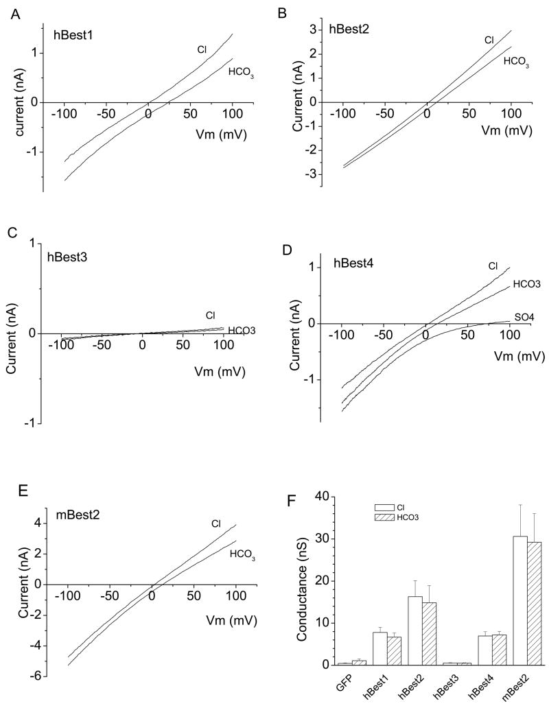 Fig.1