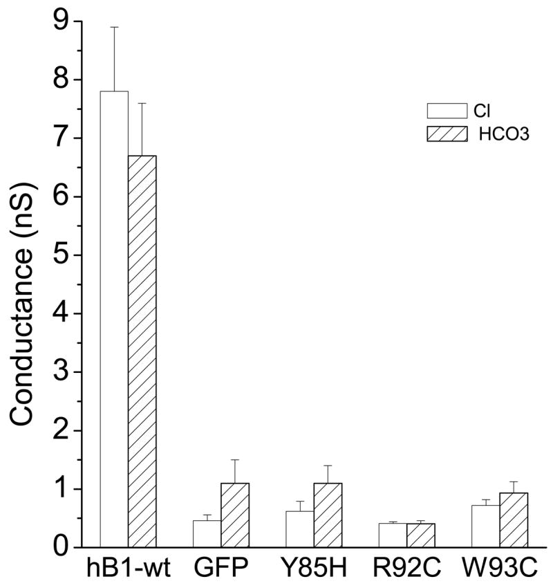 Fig.6