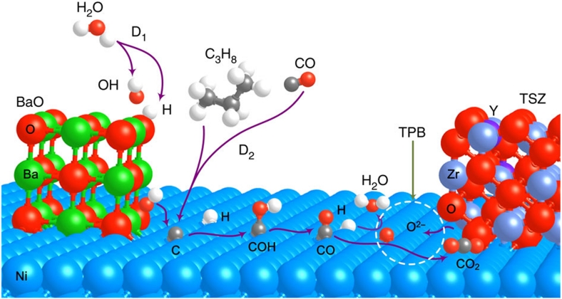 Figure 7