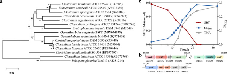 FIG 4