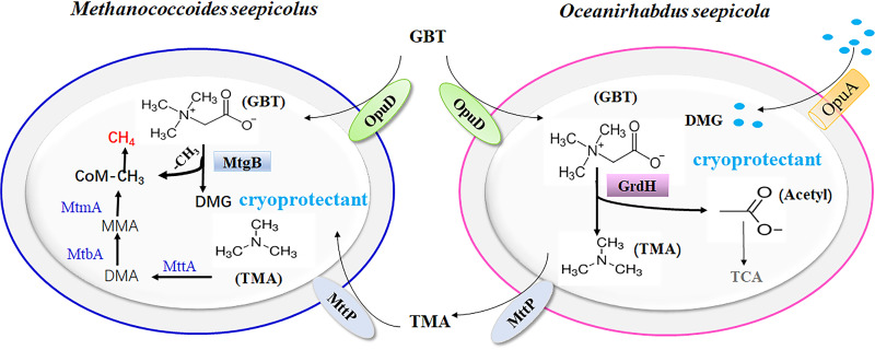 FIG 8