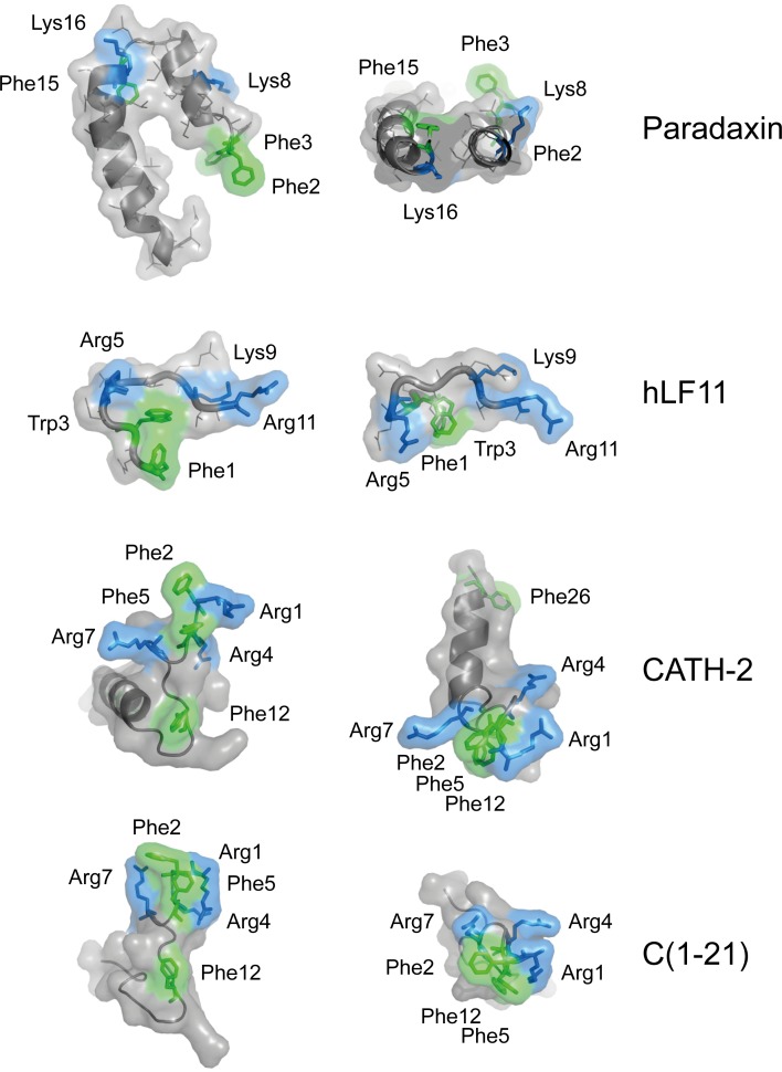 Fig 6