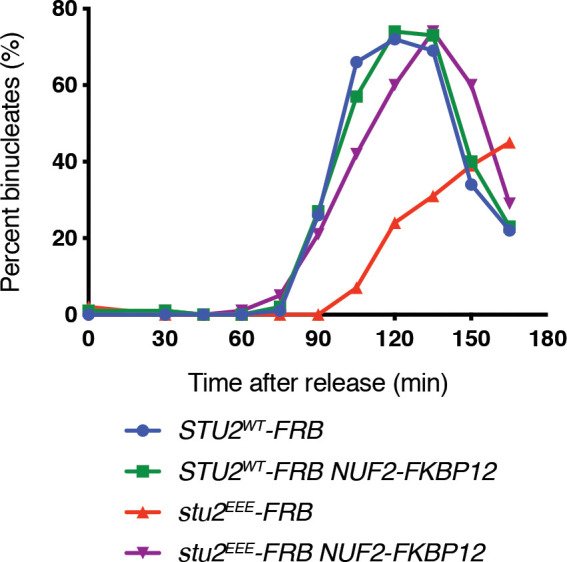 Figure 4—figure supplement 7.