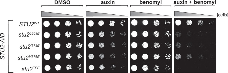 Figure 3—figure supplement 3.