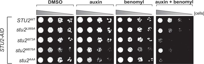 Figure 3—figure supplement 4.