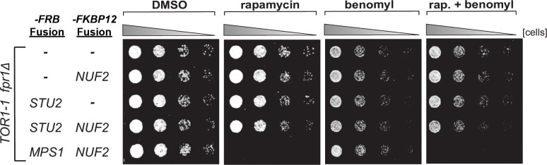 Figure 4—figure supplement 3.