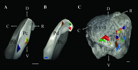 Figure 5.