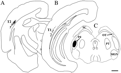 Figure 8.