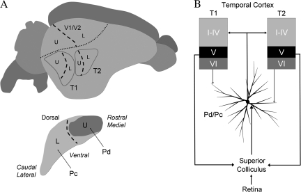 Figure 12.