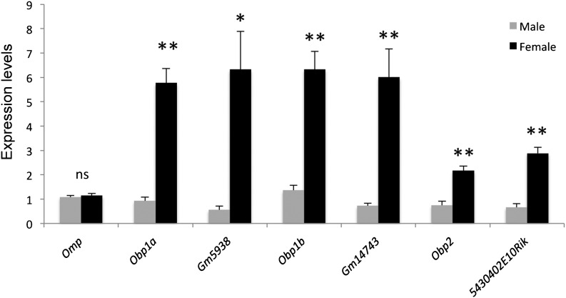 FIG. 3.—