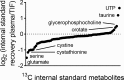 Figure 2—figure supplement 5.