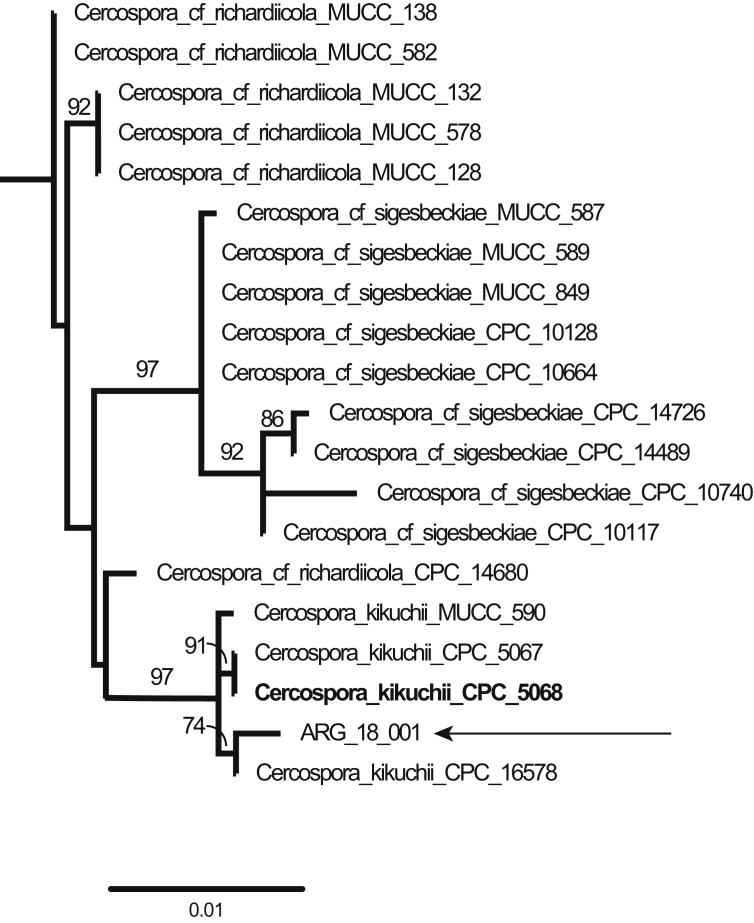 Fig. 1