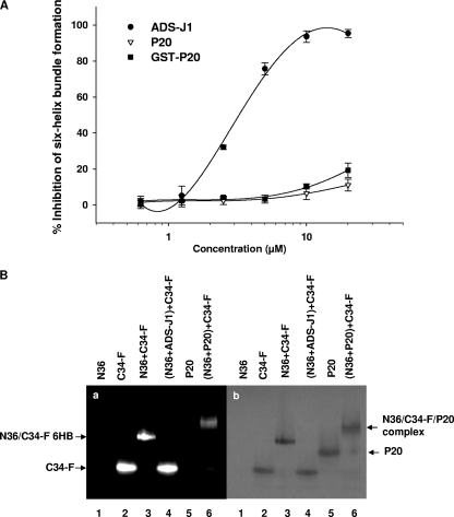 FIG. 3.