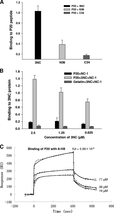 FIG. 2.