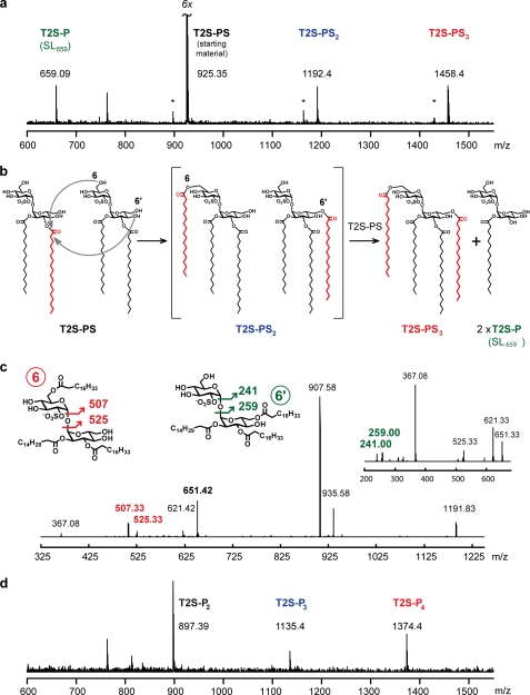 FIGURE 6.