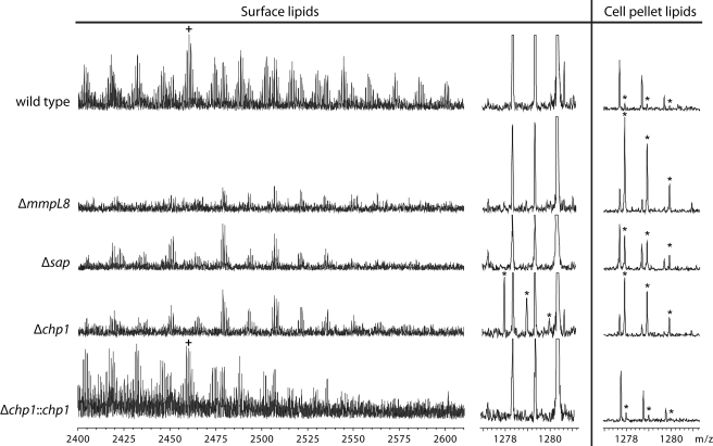 FIGURE 4.