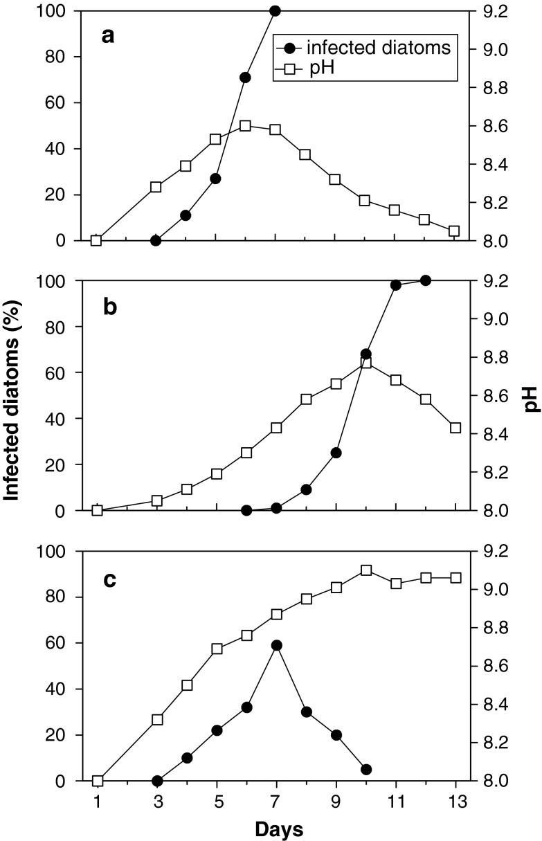 Fig. 4