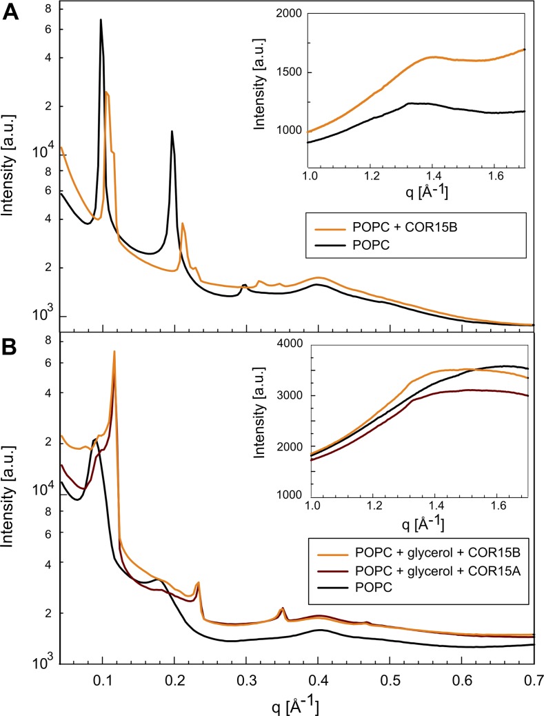 Figure 9.