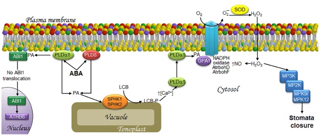 FIGURE 2