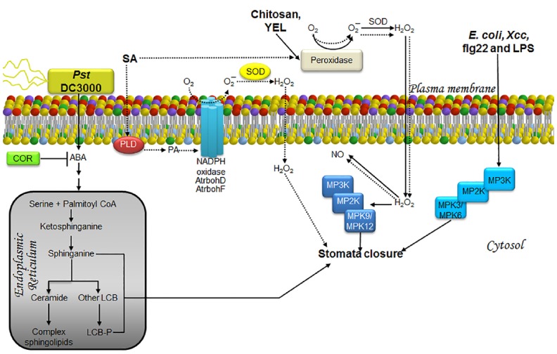 FIGURE 3