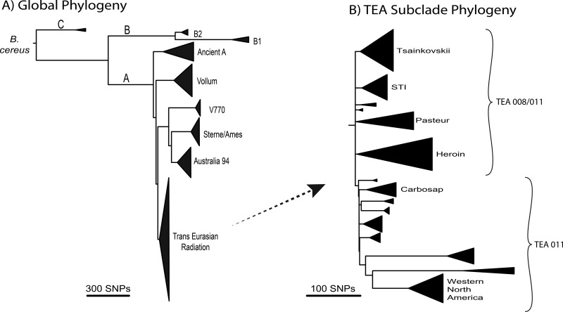 FIG 1 