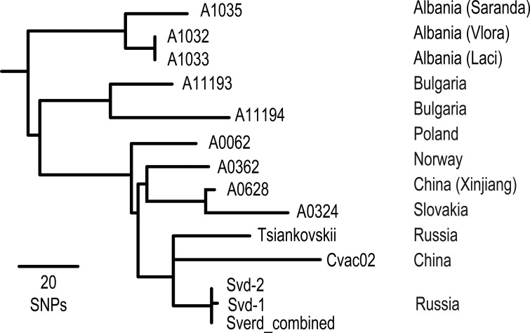 FIG 3 