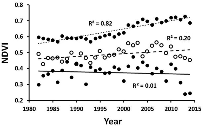 Fig. 9