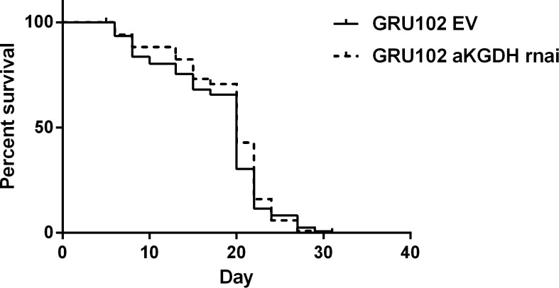 Figure 3—figure supplement 2.