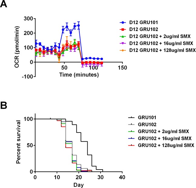 Figure 5—figure supplement 4.