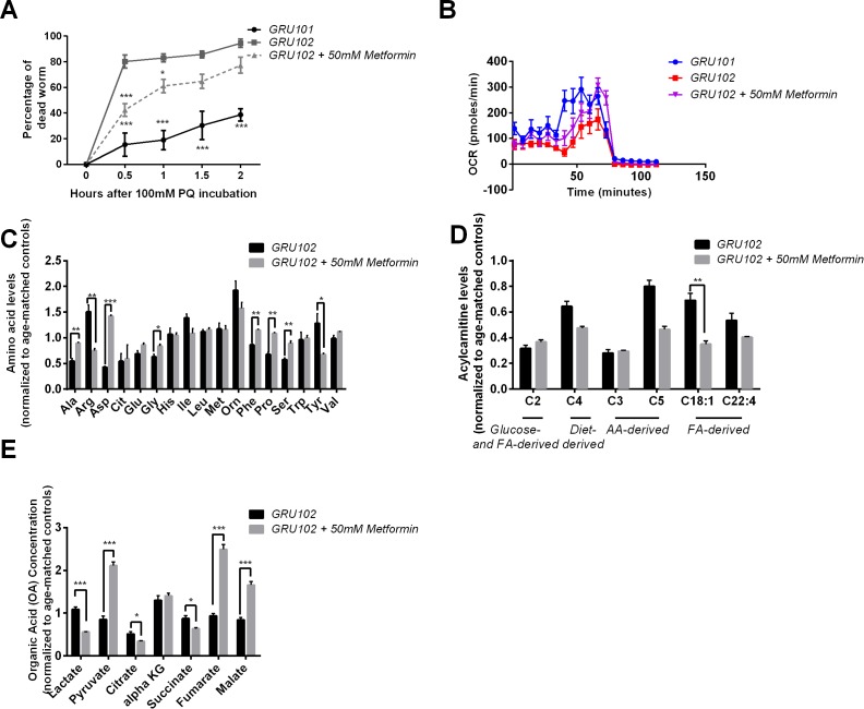 Figure 5—figure supplement 1.