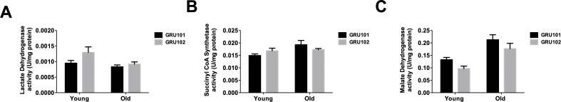 Figure 3—figure supplement 1.