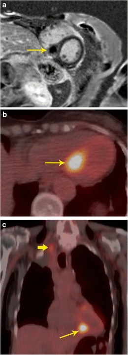 Fig. 9