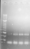 Figure1