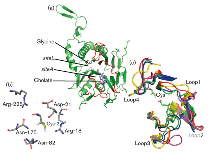 Figure 4