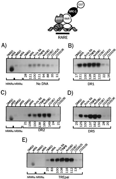 FIG. 7