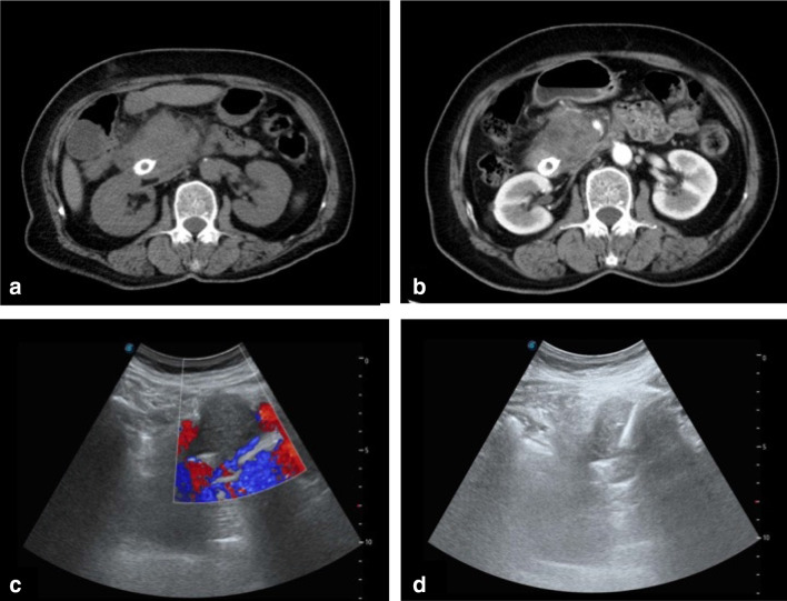 Fig. 5