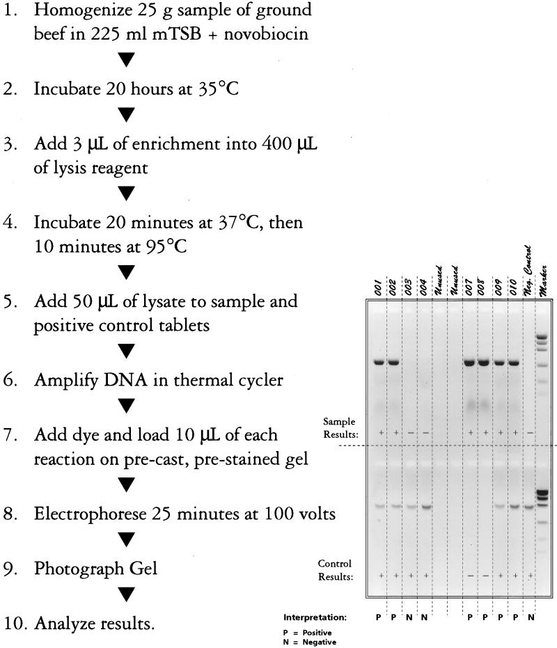 FIG. 1