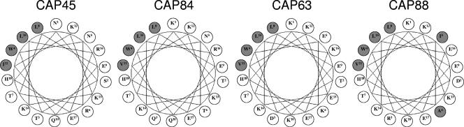 FIG. 6.