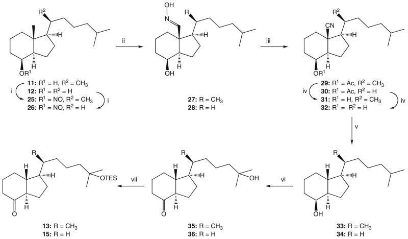 Scheme 2