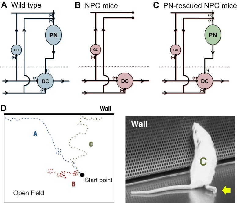 Fig. 3.