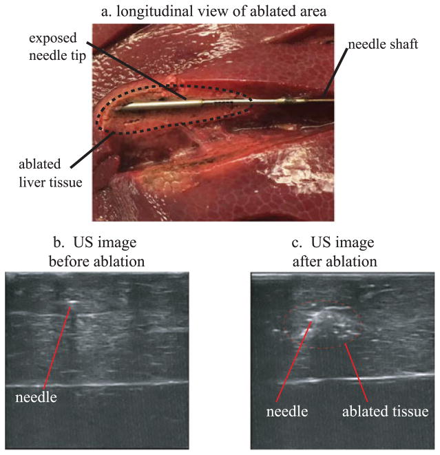 Fig. 10