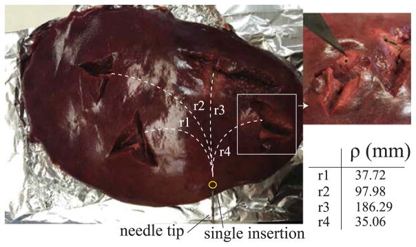 Fig. 11