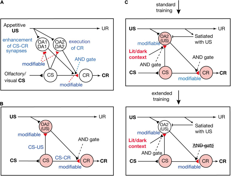 FIGURE 3