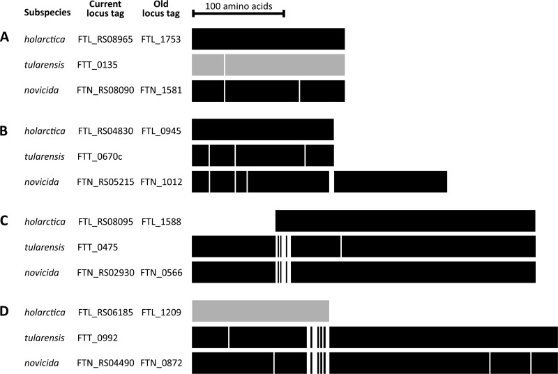 FIG 6