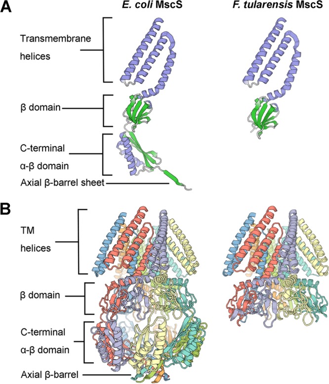 FIG 4